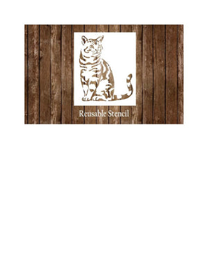 CAT 2 CAT 2