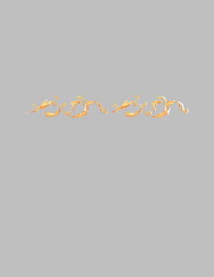PROVENCE SCROLL BORDER PROVENCE SCROLL BORDER