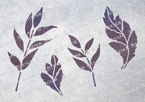 SINGLE LEAVES SINGLE LEAVES