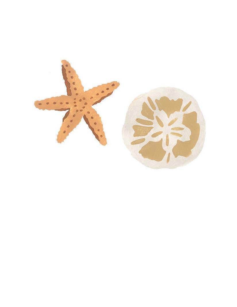 STAR FISH & SAND DOLLAR