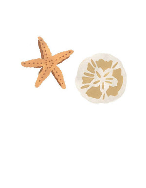 STAR FISH & SAND DOLLAR STAR FISH & SAND DOLLAR