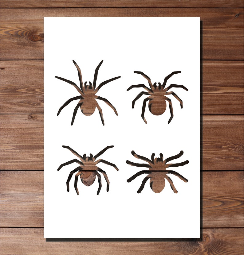 SMALL SPIDERS