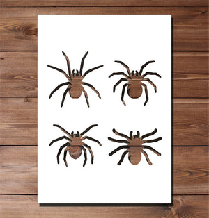 SMALL SPIDERS SMALL SPIDERS