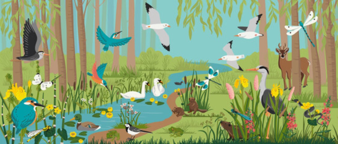 Birds, Insects, Animals