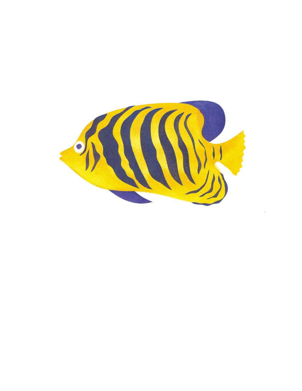 ANGELFISH