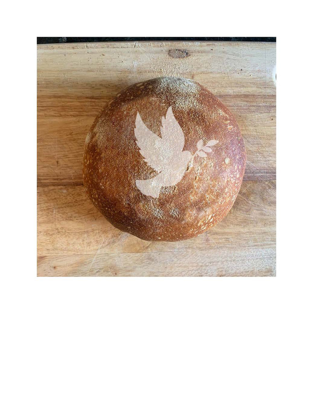 BREAD DOVE