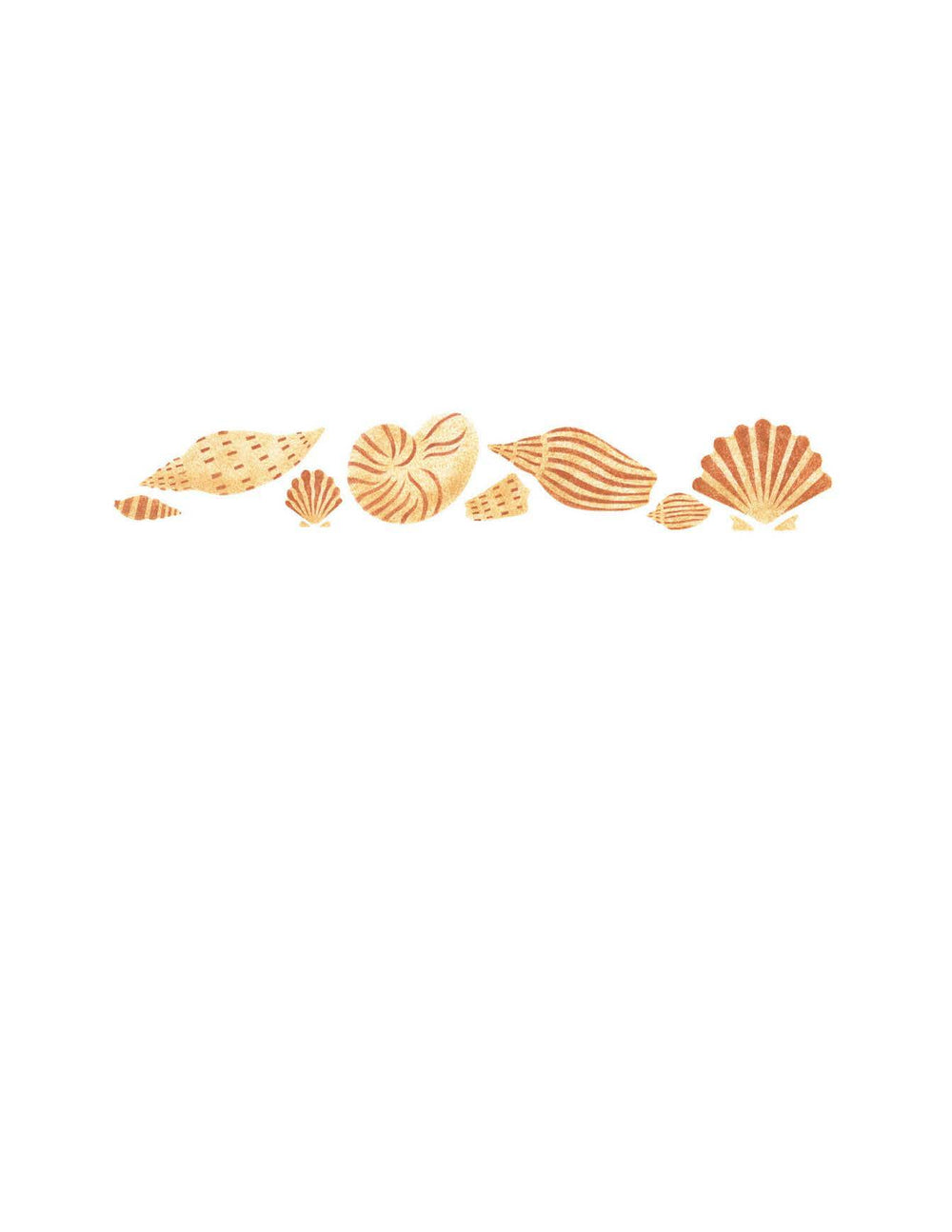 DETAIL SHELL BORDER