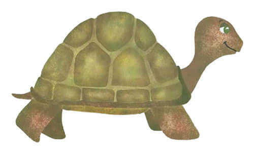 TUCKER TURTLE