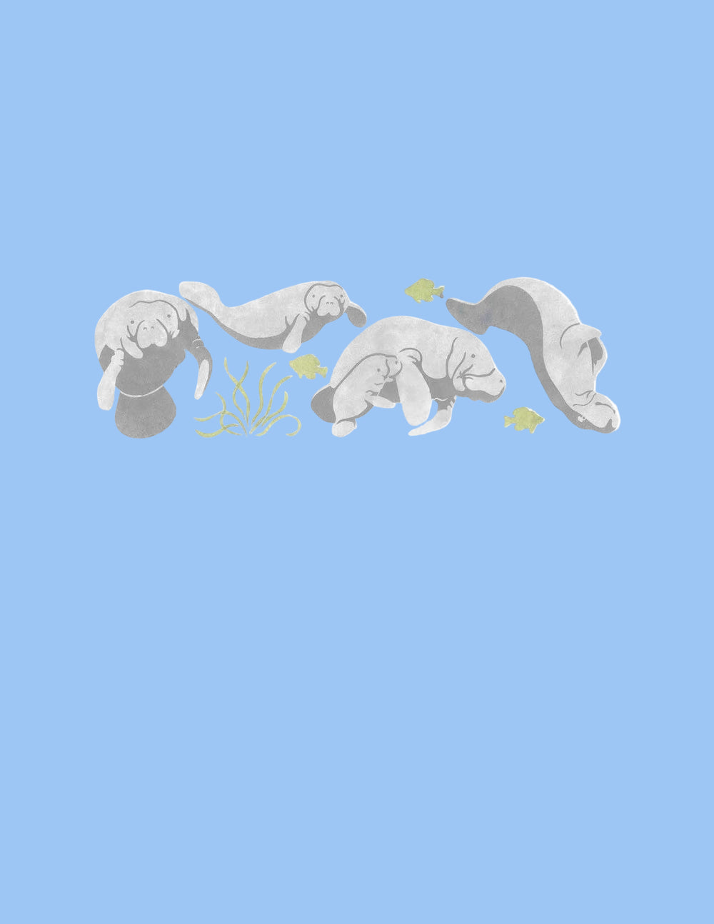 MANATEE BORDER