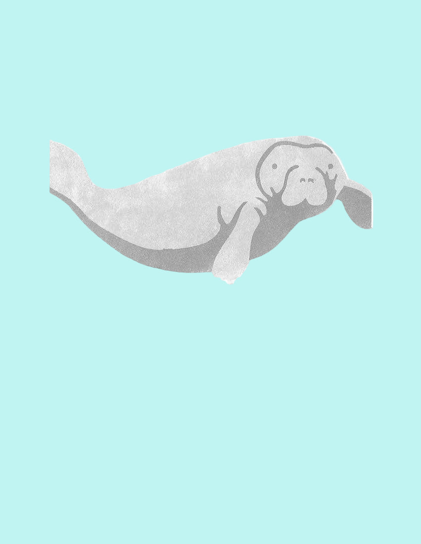 MANATEE SINGLE